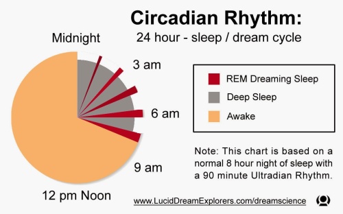 sleep_dream_REM_circadian_pie_chart